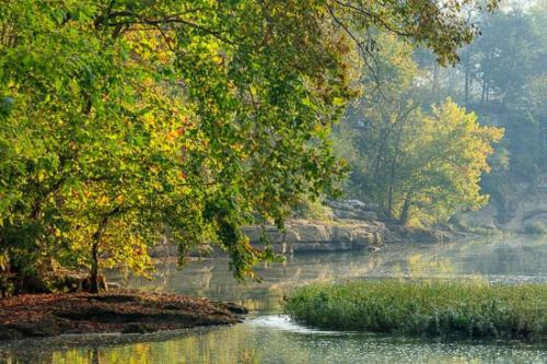 Boulder;Boulders;Branch;Branches;Creek;Duck River;Flow;Green;Healing;Health care;Healthcare;Landscape;Leaves;Mirror;Nature;Oneness;Peaceful;Rapids;Reflection;Reflections;Ripple;River;Rock;Rock Formations;Rocks;Rocky;Stone;Stones;Stream;Stream Bank;Sun-up;Sunlight;Sunlit;Sunrise;Sunshine;Tree;Tree Trunk;Trees;Trunk;Water;botanicals;calm;flowing;limbs;pool;restful;river bank;serene;soothing;tranquil;tree limbs;zen