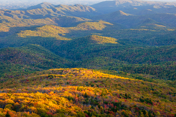 Autumn;Blue;Blue Ridge Parkway;Bluff;Brown;Calm;Fall;Forest;Forested;Gold;Healing;Health care;Healthcare;Hill;Mountain;Mountain Side;Mountain Top;Mountainous;Mountains;Nature;North Carolina;Pastoral;Peak;Range;Summit;Sunlight;Sunshine;Tan;Timber;Timberland;United States;Warm Colors;Warm Palette;Warm Tones;Wood;Woodland;Woods;color;green;hillside;landscape;leaves;oneness;orange;peaceful;restful;serene;sky;soothing;sunlit;tranquil;trees;zen