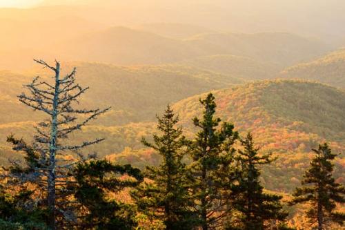 Autumn;Blue Ridge Parkway;Brown;Fall;Forest;Gold;Green;Healing;Health care;Healthcare;Hill;Hillside;Landscape;Mountain;Mountain Side;Mountain Top;Mountainous;Nature;North Carolina;Orange;Peaceful;Pinnacle;Range;Red;Summit;Sunlight;Sunlit;Sunset;Sunshine;Tan;Trees;Woodland;Yellow;calm;restful;serene;soothing;tranquil