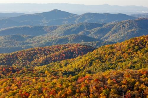 Autumn;Blue;Blue Ridge Parkway;Blues;Bluff;Brown;Calm;Cool Colors;Cool Palette;Cool Tones;Fall;Forest;Forested;Gold;Healing;Health care;Healthcare;Hill;Mountain;Mountain Side;Mountain Top;Mountainous;Mountains;Nature;North Carolina;Pastoral;Peak;Range;Summit;Sunlight;Sunshine;Tan;Timber;Timberland;Warm Colors;Warm Palette;Warm Tones;Wood;Woodland;Woods;blue;color;green;hillside;landscape;leaves;oneness;orange;peaceful;restful;serene;sky;soothing;sunlit;tranquil;trees;zen