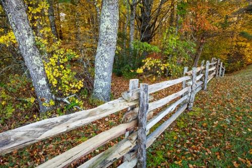 Blue Ridge Parkway;Brown;Calm;Fallen;Fallen Leaves;Forest;Forested;Gold;Healing;Health care;Healthcare;Leaf;Nature;North Carolina;Tan;Timberland;Tree;Wood;Woodland;Woodlands;Woods;Yellow;blue;fence;field;green;landscape;leaves;oneness;orange;pasture;peaceful;red;restful;serene;soothing;tranquil;trees;zen