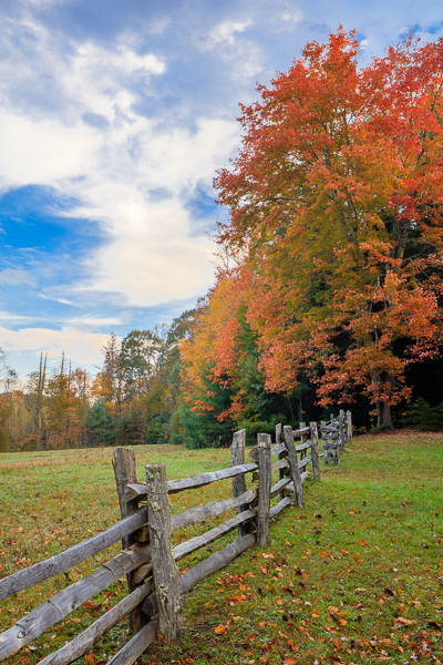 Blue;Blue Ridge Parkway;Branches;Brown;Calm;Cloud;Cloud Formation;Concepts;Cool Colors;Cool Palette;Cool Tones;Forest;Forested;Green;Greens;Habitat;Healing;Health care;Healthcare;Leaf;Leaves;Minimalism;Nature;North Carolina;Oneness;Pastoral;Sunlight;Timber;Timberland;Tree;United States;Wood;Woodland;Woods;color;fence;field;foliage;landscape;pasture;peaceful;plants;restful;serene;sky;soothing;sunlit;tranquil;tree;tree limbs;trees