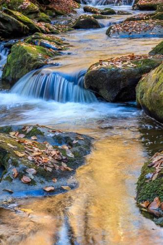 Autumn;Blue;Brook;Brown;Cascade;Cascading;Cool;Creek;Fall;Fallen;Fallen Leaves;Falling;Falls;Flow;Gold;Great Smoky Mountains;Green;Leaf;Leaves;Lynn Camp Prong;Oneness;Orange;Peaceful;Pouring;Rapids;Reflection;Reflections;Ripple;River;Rivers;Stream;Stream Bank;Streaming;Tan;Tennessee;Wabi Sabi;Water;Waterfall;Waterfalls;Wet;Yellow;flowing;zen