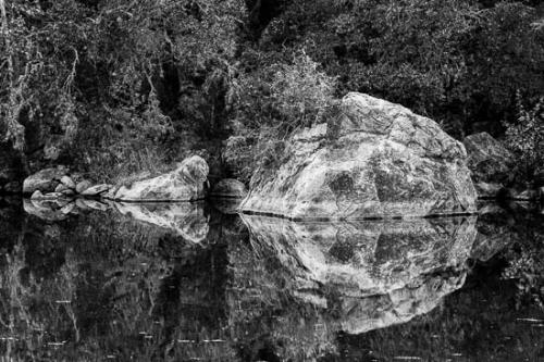 Abstraction;Black and White;Boulder;Boulders;Branches;Flow;Geological;Geology;Lake;Leaves;Mirror;Plant;Reflection;Reflections;River;Rock;Rock Formations;Rocks;Stone;Stones;Stream Bank;Striation;Texas;Tree;Trees;Water;flowing;limbs;pool;river bank;tree limbs;vegetation
