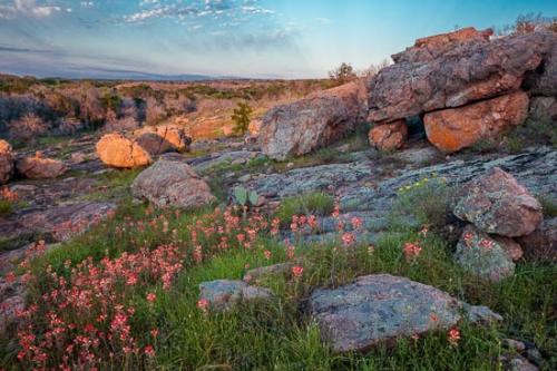 Bloom;Blossom;Blossoms;Blue;Boulder;Boulders;Close-up;Cloud;Cloud Formation;Clouds;Cloudy;Floret;Flower;Floweret;Flowering;Flowers;Flowers & Plants;Geological;Geology;Green;Healing;Health care;Healthcare;Indian Paintbrush;Landscape;Macro;Magenta;Nature;Oneness;Pastoral;Peaceful;Petal;Pink;Plant;Prickly Pear Cactus;Red;Rock;Rock Formations;Rocks;Rocky;Sky;Stone;Stones;Striation;Sunlight;Sunlit;Sunset;Texas;Texas Hill Country;Wabi Sabi;Yellow;bloom;botanical;cactus;calm;flora;floral;restful;serene;soothing;tranquil;zen