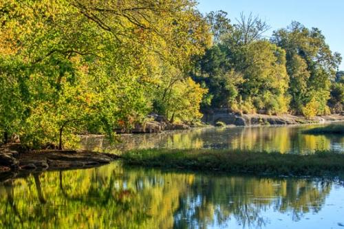 Blue;Brown;Creek;Duck River;Flow;Forest;Green;Healing;Health care;Healthcare;Henry Horton;Landscape;Mirror;Morning;Nature;Oneness;Pastoral;Peaceful;Rapids;Reflection;Reflections;River;Stream;Stream Bank;Sun-up;Sunlight;Sunlit;Sunrise;Sunshine;Timberland;Trees;Water;Woodland;Woods;calm;flowing;restful;river bank;serene;soothing;tranquil;zen
