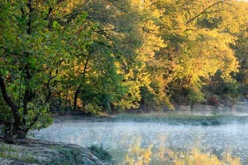 Brown;Creek;Duck River;Flow;Forest;Gold;Green;Healing;Health care;Healthcare;Henry Horton;Landscape;Mirror;Mist;Morning;Nature;Oneness;Orange;Pastoral;Peaceful;Pouring;Rapids;Reflection;Reflections;River;Stream;Stream Bank;Sun-up;Sunlight;Sunlit;Sunrise;Sunshine;Timberland;Trees;Water;Woodland;Woods;Yellow;calm;flowing;fog;foggy;haze;restful;river bank;serene;soothing;tranquil;zen