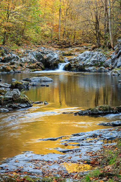Autumn;Boulder;Boulders;Branches;Brown;Calm;Chute;Concepts;Cool Colors;Cool Palette;Cool Tones;Creek;Fall;Fallen;Fallen Leaves;Falls;Flow;Forest;Forested;Gold;Great Smoky Mountains;Great Smoky Mountains National Park;Green;Greens;Habitat;Healing;Health care;Healthcare;Leaf;Leaves;Looking up;Nature;Oneness;Pastoral;Pouring;Ripple;River;Rock;Rock formations;Rocks;Stone;Stones;Stream;Stream Bank;Streaming;Sunlight;Sunshine;Tan;Tennessee;Timber;Timberland;Tree;United States;Water;Waterfalls;Waterscape;Wood;Woodland;Woods;color;flowing;foliage;landscape;limbs;peaceful;plants;rapids;reflection;reflections;restful;river bank;serene;soothing;sunlit;tranquil;tree;tree limbs;trees;trunk;waterfall