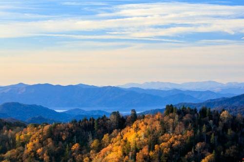 Autumn;Blue;Brown;Cloud;Cloud Formation;Clouds;Fall;Forest;Forested;Gold;Great Smoky Mountains;Great Smoky Mountains National Park;Green;Healing;Health care;Healthcare;Hillside;Landscape;Mountain;Mountain Side;Mountain Top;Mountainous;Nature;Oneness;Orange;Pastoral;Peaceful;Sky;Summit;Sunlight;Sunlit;Sunshine;Tan;Tennessee;Timber;Timberland;Trees;United States;Wood;Woodland;Woods;Yellow;calm;restful;serene;soothing;tranquil;zen