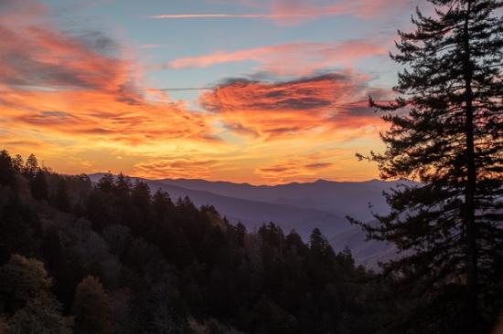 Blue;Branches;Calm;Cloud;Cloud Formation;Clouds;Evergreen;Forest;Forested;Great Smoky Mountains;Great Smoky Mountains National Park;Healing;Health care;Healthcare;Hill;Mountain;Mountain Side;Mountain Top;Mountainous;Mountains;Nature;Pastoral;Peak;Pink;Pinnacle;Precipice;Range;Summit;Sunlight;Sunshine;Tennessee;Timber;Timberland;Tree;United States;Valley;Wood;Woodland;Woods;Yellow;branch;dawn;daybreak;hillside;landscape;limbs;morn;morning;oneness;orange;peaceful;plants;purple;red;restful;serene;silhouette;sky;soothing;sunlit;sunrise;sunup;tranquil;tree limbs;tree trunk;trees;trunk;zen