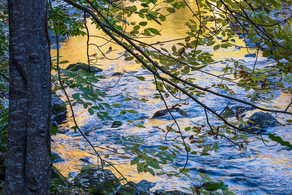 Autumn;Blue;Boulder;Boulders;Branches;Calm;Creek;Fall;Flow;Gold;Great Smoky Mountains;Great Smoky Mountains National Park;Healing;Health care;Healthcare;Nature;Pastoral;Ripple;River;Rock;Rock formations;Rocks;Stone;Stones;Stream;Sunlight;Sunshine;Tan;Tennessee;Tree;United States;Water;Waterscape;Yellow;bark;flowing;green;landscape;leaves;limbs;oneness;peaceful;plants;rapids;reflection;reflections;restful;river bank;serene;soothing;sunlit;tranquil;tree limbs;trees;trunk;zen