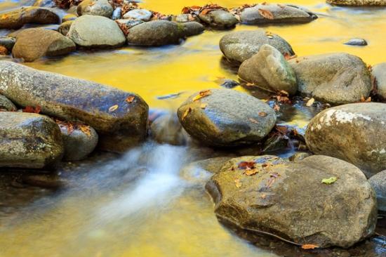 Boulder;Boulders;Brown;Calm;Cascade;Chute;Creek;Fallen;Fallen Leaves;Falls;Flow;Gold;Great Smoky Mountains;Great Smoky Mountains National Park;Healing;Health care;Healthcare;Leaf;Mirror;Mountain;Nature;Pouring;River;Rock;Rocks;Stone;Stones;Stream;Stream Bank;Streaming;Tan;Tennessee;United States;Wabi Sabi;Water;Waterfalls;Waterscape;flowing;foliage;landscape;leaves;oneness;peaceful;rapids;reflection;reflections;restful;serene;soothing;tranquil;waterfall;zen