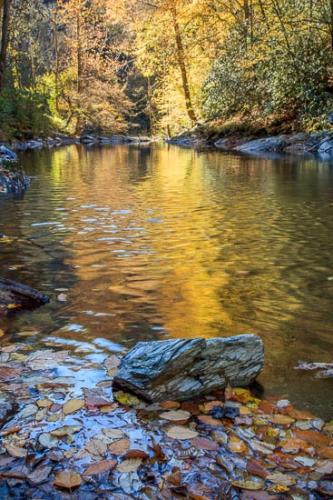 Autumn;Blue;Boulder;Boulders;Brown;Creek;Fall;Flow;Forest;Gold;Great Smoky Mountains;Great Smoky Mountains National Park;Green;Healing;Health care;Healthcare;Landscape;Nature;Oneness;Orange;Peaceful;Pebbles;Rapids;Red;River;Rock;Stone;Stones;Stream;Stream Bank;Sunlight;Sunlit;Sunshine;Tan;Tennessee;Trees;United States;Water;Waterscape;Woodland;Woods;Yellow;calm;flowing;restful;river bank;serene;soothing;tranquil;zen