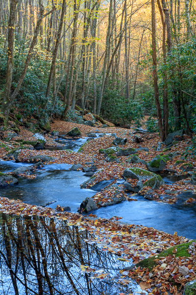 Autumn;Blue;Boulder;Boulders;Branches;Brown;Calm;Cascade;Chute;Creek;Fall;Fallen;Fallen Leaves;Flow;Forest;Forested;Gold;Great Smoky Mountains;Great Smoky Mountains National Park;Healing;Health care;Healthcare;Leaf;Nature;Pastoral;Pouring;Ripple;River;Rock;Rock formations;Rocks;Rocky;Stone;Stones;Stream;Stream Bank;Streaming;Sunlight;Sunshine;Tan;Tennessee;Timber;Timberland;Tree;United States;Wabi Sabi;Water;Waterscape;Wood;Woodland;Woods;Yellow;flowing;foliage;green;landscape;leaves;limbs;oneness;orange;peaceful;plants;rapids;reflection;reflections;restful;river bank;serene;soothing;sunlit;tranquil;tree limbs;tree trunk;trees;trunk;zen