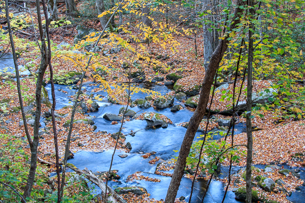 Autumn;Blue;Boulder;Boulders;Branches;Brown;Calm;Cascade;Chute;Creek;Fall;Fallen;Fallen Leaves;Flow;Forest;Forested;Gold;Great Smoky Mountains;Great Smoky Mountains National Park;Healing;Health care;Healthcare;Leaf;Nature;Pastoral;Pouring;Ripple;River;Rock;Rock formations;Rocks;Rocky;Stone;Stones;Stream;Stream Bank;Streaming;Sunlight;Sunshine;Tan;Tennessee;Timber;Timberland;Tree;United States;Wabi Sabi;Water;Waterscape;Wood;Woodland;Woods;Yellow;flowing;foliage;green;landscape;leaves;limbs;oneness;orange;peaceful;plants;rapids;reflection;reflections;restful;river bank;serene;soothing;sunlit;tranquil;tree limbs;tree trunk;trees;trunk;zen