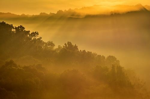 Beige;Brown;Clouds;First Light;Fog;Forest;Forested;God Rays;Gold;Mountain;Mountain Top;Mountainous;Mountains;Nature;Summit;Sun rays;Sun-up;Sunbeam;Sunlight;Sunshine;Tan;Timber;Timberland;Warm Colors;Warm Palette;Warm Tones;Wood;Woodland;Woods;Yellow;cliff;color;dawn;daybreak;foggy;haze;hillside;landscape;leaves;mist;misty;morn;morning;orange;sunlit;sunrise;sunup;trees
