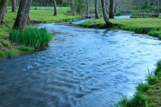 Blue;Brook;Calm;Cascade;Creek;Flow;Forest;Headwaters of the Sequatchie;Healing;Health care;Healthcare;Nature;Pastoral;Pouring;River;Stream;Stream Bank;Tree;Water;Waterscape;flowing;green;landscape;oneness;peaceful;rapids;restful;river bank;serene;soothing;tranquil;trees;zen