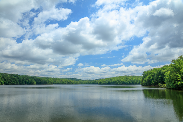 Billy Branch Lake;Blue;Calm;Chestnut Mountain;Cloud;Cloud Formation;Clouds;Forest;Forested;Healing;Health care;Healthcare;Mirror;Nature;Pastoral;Ripple;Sunlight;Sunshine;TNC;Tennessee;Timber;Timberland;United States;Water;Waterscape;Woodland;Woods;green;lake;landscape;oneness;peaceful;reflection;reflections;restful;serene;sky;soothing;sunlit;tranquil;trees;zen