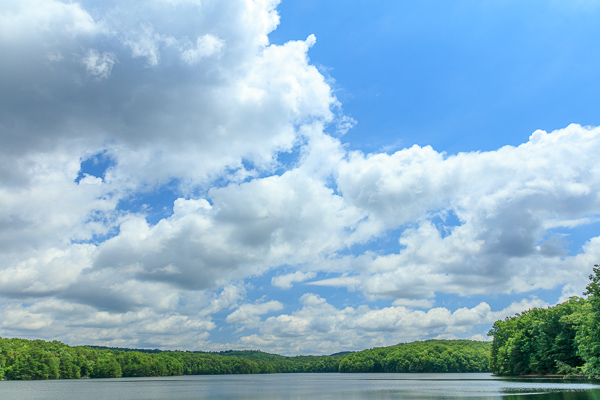 Billy Branch Lake;Blue;Calm;Chestnut Mountain;Cloud;Cloud Formation;Clouds;Forest;Forested;Healing;Health care;Healthcare;Mirror;Nature;Pastoral;Ripple;Sunlight;Sunshine;TNC;Tennessee;Timber;Timberland;United States;Water;Waterscape;Woodland;Woods;green;lake;landscape;oneness;peaceful;reflection;reflections;restful;serene;sky;soothing;sunlit;tranquil;trees;zen