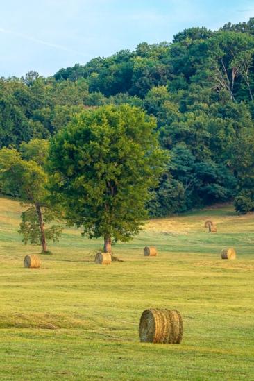 Agricultural;Agriculture;Bale;Calm;Farming;Healing;Health care;Healthcare;Hill;Mountain;Mountain Side;Nature;Pastoral;Sun rays;Sun-up;Sunlight;Sunshine;Tree;dawn;daybreak;field;green;hay;hillside;landscape;morn;morning;oneness;pasture;peaceful;restful;serene;soothing;sunlit;sunrise;sunup;tranquil;trees;zen