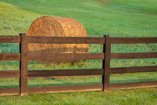 Agricultural;Agriculture;Bale;Calm;Farming;Healing;Health care;Healthcare;Nature;Pastoral;Sun rays;Sun-up;Sunlight;Sunshine;Tree;dawn;daybreak;fence;field;green;hay;landscape;morn;morning;oneness;pasture;peaceful;restful;serene;soothing;sunlit;sunrise;sunup;tranquil;trees;zen