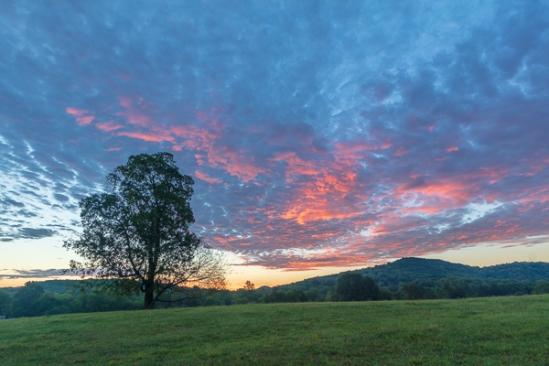 Blue;Calm;Cloud;Cloud Formation;Clouds;Healing;Health care;Healthcare;Hill;Looking up;Mountain;Mountain Side;Mountain Top;Mountainous;Nature;Pastoral;Pink;Summit;Sun-up;Tree;dawn;daybreak;green;hillside;landscape;magenta;morn;morning;oneness;peaceful;restful;serene;sky;soothing;sunrise;sunup;tranquil;trees;zen