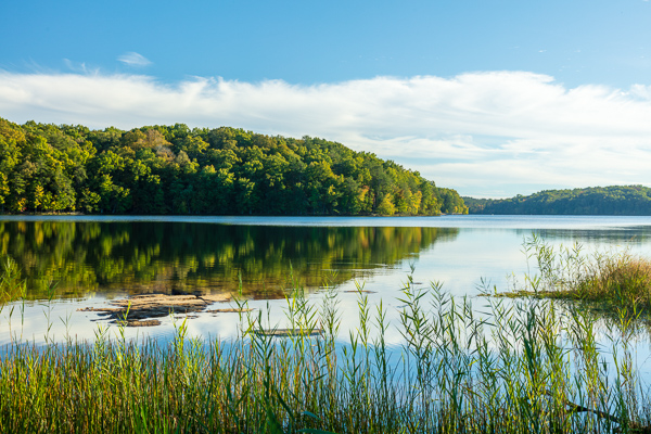Blue;Calm;Fall Creek Falls State Resort Park;Forest;Forested;Healing;Health care;Healthcare;Hill;Minimalism;Mirror;Nature;Pastoral;State Park;Sunlight;Sunshine;Tennessee;Timberland;United States;Water;Waterscape;Woodland;Woods;green;hillside;lake;landscape;leaves;oneness;peaceful;pool;reflection;reflections;restful;serene;soothing;sunlit;tranquil;trees;zen