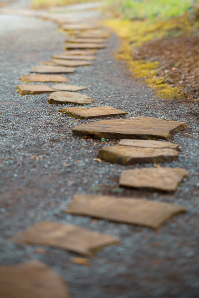 Brown;Calm;Gold;Healing;Health care;Healthcare;Hiking Trail;Japanese Garden;Journey;Minimalism;Nature;Pastoral;Path;Pathway;Rock;Rocks;Stone;Stones;Tan;Wabi Sabi;Walkway;garden;landscape;oneness;peaceful;restful;road;serene;soothing;trail;tranquil;zen