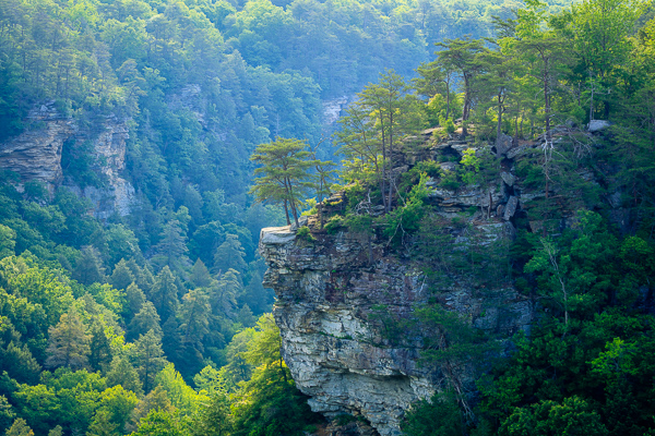 Aqua;Blue;Bluff;Boulder;Boulders;Branches;Calm;Fall Creek Falls State Resort Park;Gorge;Healing;Health care;Healthcare;Minimalism;Mountain;Mountain Top;Nature;Pastoral;Pikeville;Rock;Rock formations;Rocks;Rocky;State Park;Stone;Stones;Summit;Sunlight;Sunshine;Tennessee;Tree;United States;Valley;cliff;green;landscape;leaves;limbs;oneness;peaceful;plants;restful;serene;soothing;sunlit;tranquil;tree limbs;trees;trunk;zen