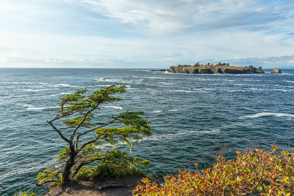 Bluff;Boulder;Branches;Calm;Cape Flattery;Coast;Coastline;Healing;Health care;Healthcare;Hill;Island;Lighthouse;Nature;Ocean;Pastoral;Sea;Sea Stacks;Seascape;Stone;Sunlight;Sunshine;Tree;United States;Washington;Waterscape;Waves;cliff;limbs;oneness;peaceful;plants;restful;sea;serene;shoreline;soothing;sunlit;tranquil;tree limbs;trees;zen