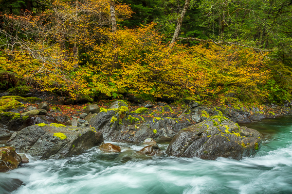 Aqua;Autumn;Boulder;Boulders;Brook;Brown;Calm;Cascade;Cascading;Creek;Fall;Fallen;Fallen Leaves;Falls;Flow;Forest;Forested;Geological;Geology;Healing;Health care;Healthcare;Leaf;Moss;Nature;Pastoral;Pouring;River;Rock;Rock formations;Rocks;Rocky;Second Beach;Sol Duc Valley;Stone;Stones;Stream;Stream Bank;Streaming;Timber;Timberland;Tree;United States;Washington;Water;Waterfalls;Waterscape;Wood;Woodland;Woodlands;Woods;Yellow;flowing;foliage;green;landscape;leaves;oneness;orange;peaceful;plants;rapids;restful;river bank;serene;soothing;tranquil;tree limbs;trees;waterfall;zen