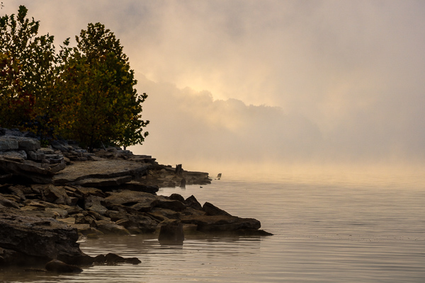 Boulder;Boulders;Break of Day;Brown;Calm;Edgar Evins State Park;First Light;Fog;Healing;Mist;Nature;Obscured;Pastoral;Ripple;Rock;Rock formations;Rocks;Rocky;State Park;Stone;Stones;Sun-up;Sunlight;Tan;Tennessee;United States;Water;Waterscape;Yellow;dawn;daybreak;foggy;green;haze;lake;landscape;mist;misty;morn;morning;oneness;peaceful;reflection;reflections;restful;serene;soothing;sunlit;sunrise;sunup;tranquil