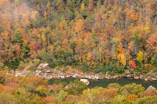 Aqua;Autumn;Big South Fork;Bluff;Branches;Brown;Calm;Cloud;Cloud Formation;Clouds;Cloudy;Concepts;Cool Colors;Cool Palette;Cool Tones;Cumberland Plateau;Fall;Flow;Fog;Forest;Forested;Gold;Green;Greens;Habitat;Healing;Health care;Healthcare;Hill;Leaf;Minimalism;Mist;Mountain;Mountain Side;Mountain Top;Mountainous;Mountains;Nature;Obscured;Oneness;Pastoral;Pinnacle;River;Summit;Tan;Tennessee;Timber;Timberland;Tree;United States;Water;Waterscape;Wood;Woodland;Woods;Yellow;cliff;color;flowing;foggy;foliage;green;haze;hillside;landscape;leaves;mist;misty;oneness;orange;oriental;peaceful;plants;restful;river bank;serene;soothing;tranquil;tree;tree limbs;trees;zen