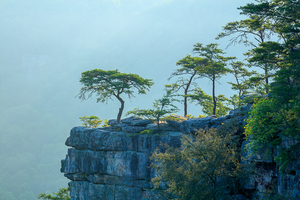 Aqua;Blue;Bluff;Boulder;Boulders;Branches;Buzzard's Roost;Calm;Fall Creek Falls State Resort Park;Healing;Health care;Healthcare;Minimalism;Mountain;Mountain Top;Nature;Pastoral;Pikeville;Rock;Rock formations;Rocks;Rocky;State Park;Stone;Stones;Summit;Sunlight;Tennessee;Tree;United States;cliff;green;landscape;leaves;limbs;oneness;peaceful;plants;restful;serene;soothing;sunlit;tranquil;tree limbs;trees;trunk;zen