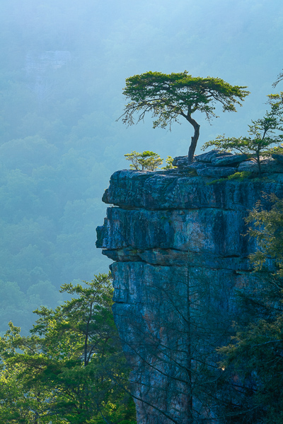 Aqua;Blue;Bluff;Boulder;Boulders;Branches;Buzzard's Roost;Calm;Fall Creek Falls State Resort Park;Healing;Health care;Healthcare;Minimalism;Mountain;Mountain Top;Nature;Pastoral;Pikeville;Rock;Rock formations;Rocks;Rocky;State Park;Stone;Stones;Summit;Sunlight;Tennessee;Tree;United States;cliff;green;landscape;leaves;limbs;oneness;peaceful;plants;restful;serene;soothing;sunlit;tranquil;tree limbs;trees;trunk;zen