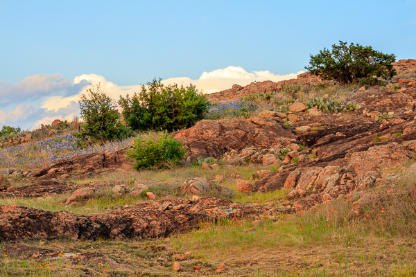 Blossom;Blossoms;Blue;Bluebonnets;Bluff;Boulder;Boulders;Brown;Cactus;Calm;Cloud;Cloud Formation;Clouds;Concepts;Cool Colors;Cool Palette;Cool Tones;Flora;Floral;Floweret;Flowering;Flowers;Flowers & Plants;Green;Greens;Healing;Hill;Indian Paintbrush;Inks Lake;Inks Lake State Park;Lupinus texensis;Minimalism;Mountain Side;Mountain Top;Nature;Oneness;Pastoral;Rock;Rock formations;Rocks;Rocky;Shrub;Stone;Stones;Sunlight;Sunshine;Tan;Texas;Texas Bluebonnet;Texas Hill Country;United States;bloom;cliff;color;flora;floral;flower;green;hillside;landscape;oneness;peaceful;plants;red;restful;serene;sky;soothing;sunlit;texture;tranquil;wildflower;zen