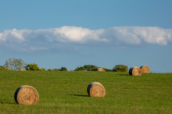 Agricultural;Agriculture;Bale;Blue;Brown;Calm;Cloud Formation;Clouds;Farm;Farming;Healing;Health care;Healthcare;Minimalism;Nature;Pastoral;Sunlight;Sunshine;Tan;field;green;hay;landscape;oneness;pasture;peaceful;restful;serene;sky;soothing;sunlit;tranquil;zen