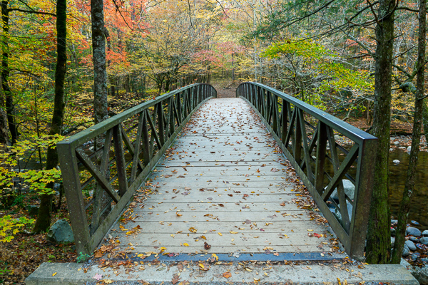 Autumn;Bridge;Calm;Concepts;Fall;Great Smoky;Great Smoky Mountains National Park;Healing;Health care;Healthcare;Minimalism;Nature;Oneness;Pastoral;Sunlight;Sunshine;Tennessee;United States;peaceful;restful;serene;soothing;sunlit;tranquil;zen