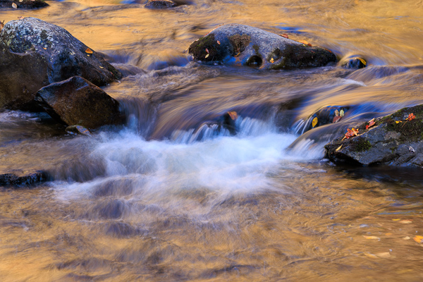 Autumn;Boulder;Boulders;Calm;Cascade;Chute;Concepts;Creek;Fall;Fallen;Fallen Leaves;Falls;Flow;Gold;Great Smoky;Great Smoky Mountains National Park;Healing;Health care;Healthcare;Leaf;Leaves;Minimalism;Mirror;Nature;Oneness;Pastoral;Personal;Pool;Pouring;Ripple;River;Rock;Rocks;Rocky;Stone;Stones;Stream;Stream Bank;Streaming;Sunlight;Sunshine;Tennessee;United States;Wabi Sabi;Water;Waterfalls;Waterscape;Yellow;color;flowing;foliage;landscape;peaceful;plants;rapids;reflection;reflections;restful;river bank;serene;soothing;sunlit;tranquil;waterfall;zen
