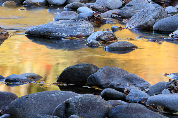 Autumn;Boulder;Boulders;Calm;Cascade;Chute;Concepts;Creek;Fall;Fallen;Fallen Leaves;Falls;Flow;Gold;Great Smoky;Great Smoky Mountains National Park;Healing;Health care;Healthcare;Leaf;Leaves;Minimalism;Mirror;Nature;Oneness;Pastoral;Personal;Pool;Pouring;Ripple;River;Rock;Rocks;Rocky;Stone;Stones;Stream;Stream Bank;Streaming;Sunlight;Sunshine;Tennessee;United States;Wabi Sabi;Water;Waterfalls;Waterscape;Yellow;color;flowing;foliage;landscape;peaceful;plants;rapids;reflection;reflections;restful;river bank;serene;soothing;sunlit;tranquil;waterfall;zen