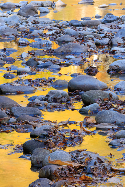 Autumn;Boulder;Boulders;Calm;Cascade;Chute;Concepts;Creek;Fall;Fallen;Fallen Leaves;Falls;Flow;Gold;Great Smoky;Great Smoky Mountains National Park;Healing;Health care;Healthcare;Leaf;Leaves;Minimalism;Mirror;Nature;Oneness;Pastoral;Personal;Pool;Pouring;Ripple;River;Rock;Rocks;Rocky;Stone;Stones;Stream;Stream Bank;Streaming;Sunlight;Sunshine;Tennessee;United States;Wabi Sabi;Water;Waterfalls;Waterscape;Yellow;arts';color;flowing;foliage;landscape;peaceful;plants;rapids;reflection;reflections;restful;river bank;serene;soothing;sunlit;tranquil;waterfall;zen