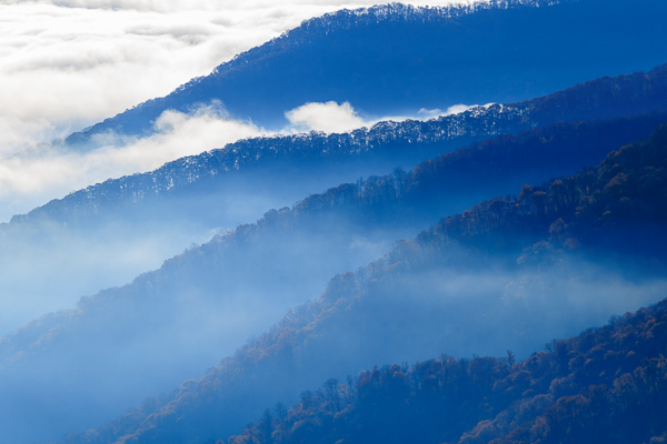 Autumn;Blue;Branches;Calm;Cloud;Cloud Formation;Clouds;Concepts;Fall;Fog;Forest;Great Smoky;Great Smoky Mountains National Park;Healing;Health care;Healthcare;Leaves;Minimalism;Mist;Mountain;Mountain Side;Mountain Top;Mountainous;Nature;Obscured;Oneness;Pastoral;Summit;Tennessee;Timber;Timberland;Tree;United States;Wood;Woodland;Woods;color;foggy;haze;landscape;mist;misty;peaceful;plants;restful;serene;sky;soothing;tranquil;tree;trees;zen