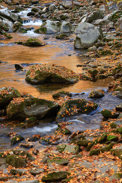 Autumn;Boulder;Boulders;Calm;Cascade;Chute;Concepts;Creek;Fall;Fallen;Fallen Leaves;Falls;Flow;Gold;Great Smoky;Great Smoky Mountains National Park;Healing;Health care;Healthcare;Leaf;Leaves;Minimalism;Mirror;Nature;Oneness;Pastoral;Personal;Pool;Pouring;Ripple;River;Rock;Rocks;Rocky;Stone;Stones;Stream;Stream Bank;Streaming;Sunlight;Sunshine;Tennessee;United States;Wabi Sabi;Water;Waterfalls;Waterscape;Yellow;color;flowing;foliage;landscape;peaceful;plants;rapids;reflection;reflections;restful;river bank;serene;soothing;sunlit;tranquil;waterfall;zen