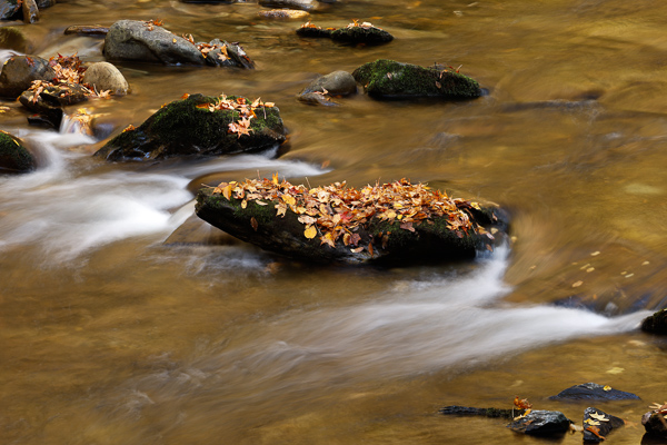 Autumn;Blue;Boulder;Boulders;Brown;Calm;Concepts;Fall;Fallen;Fallen Leaves;Gold;Great Smoky;Great Smoky Mountains National Park;Healing;Health care;Healthcare;Leaf;Leaves;Minimalism;Mirror;Mountain;Nature;Oneness;Pastoral;Personal;Pool;Ripple;River;Rock;Rocks;Rocky;Stone;Stones;Stream;Sunlight;Sunshine;Tan;Tennessee;United States;Wabi Sabi;Water;Waterscape;Yellow;color;foliage;landscape;peaceful;plants;reflection;reflections;restful;serene;soothing;tranquil;zen