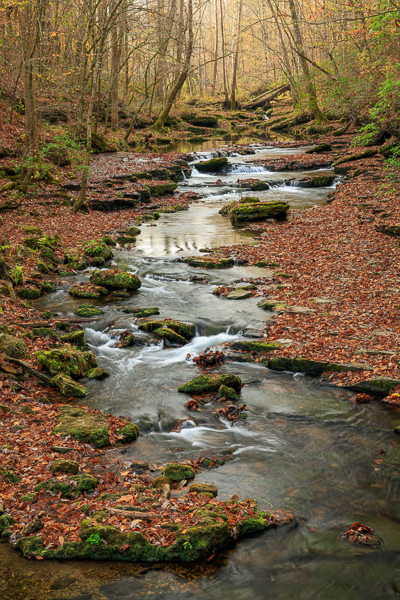Autumn;Boulder;Boulders;Calm;Concepts;Creek;Fall;Fallen;Fallen Leaves;Flow;Forest;Healing;Health care;Healthcare;Leaf;Leaves;Machine Falls;Minimalism;Nature;Oneness;Pastoral;Rock;Rocks;Rocky;Short Springs State Natural Area;Stone;Stones;Stream;Stream Bank;Tennessee;Timber;Timberland;Tullahoma;United S;United States;Wabi Sabi;Water;Wood;Woodland;Woods;flowing;foliage;landscape;peaceful;plants;rapids;restful;river bank;serene;soothing;tranquil;trees;zen