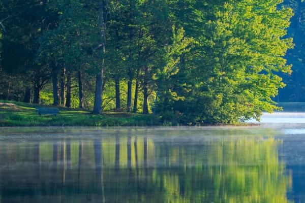 Biophilic;Blue;Branches;Brown;Calm;Concepts;Cool Colors;Cool Palette;Cool Tones;First Light;Fog;Forest;Forested;Green;Greens;Healing;Health care;Healthcare;Leaf;Leaves;Minimalism;Mirror;Mist;Natchez Trace State Park;Nature;Obscured;Oneness;Pastoral;Ripple;Sun-up;Sunlight;Sunshine;Timberland;Tree;Water;Waterscape;Wood;Woodland;Woods;biophilic design;biophilic interior design;color;daybreak;foggy;foliage;haze;lake;landscape;limbs;mist;misty;morn;morning;nbench;peaceful;plants;reflection;reflections;restful;serene;soothing;sunlit;tranquil;tree;tree limbs;trees;zen