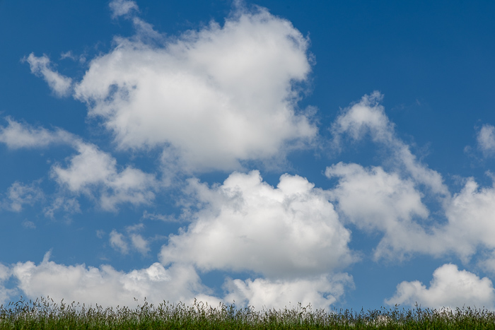 Biophilic;Calm;Clouds;Concepts;Environment;Fluffy;Healing;Health care;Healthcare;Horizon;Natural;Nature;Oneness;Pastoral;Scenic;Sunlight;Weather;White;Wide;airy;background;biophilic design;blue;breeze;bright;calming;cloudscape;cumulus;day;field;fresh;grass;green;idyllic;landscape;meadow;open;outdoors;pasture;peaceful;restful;restorative;rural;serene;sky;soothing;spring;summer;tranquil;vegetation