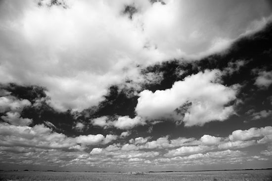 Cloud Formation;Weather;Sky;Clouds;Cloud;Mire;Muskeg;Marsh;Bog;Swamps;Swamp;Grass;Wood;Woodland;Woods;Timber;Timberland;Forest;Ancient;Rainforest;Nature;Natural;outdoors;Ferns;Roots;Log;Nursery