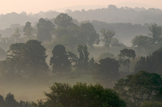 Beginning;Fog;Hills;Oneness;Rolling Hills;Sunrise;Tennessee;Trees