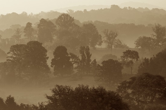 Beginning;Black and White;Fog;Hills;Oneness;Rolling Hills;Sepia;Sunrise;Tennessee;Trees